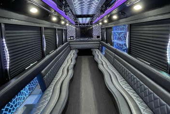 Kenosha Party Bus Interior